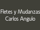 Fletes Y Mudanzas Carlos Angulo