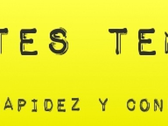 Logo Fletes Temuco