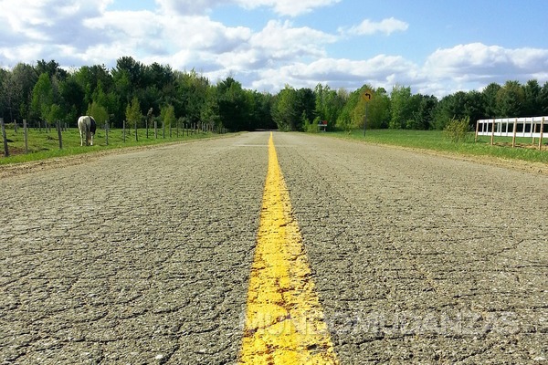 Conductores: cómo saber el estado de rutas y carreteras en Chile