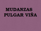 Mudanzas Pulgar Viña