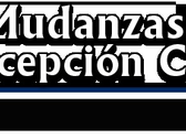 Mudanzas Concepcion Cargo