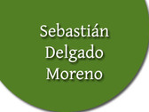 Sebastián Delgado Moreno