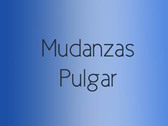 Mudanzas Pulgar