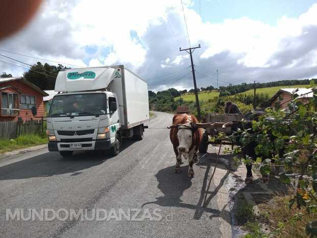 Retiros de mudanzas de domicilio a domicilio. 