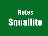 Fletes Económicos Squallito