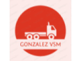 Gonzalez VSM