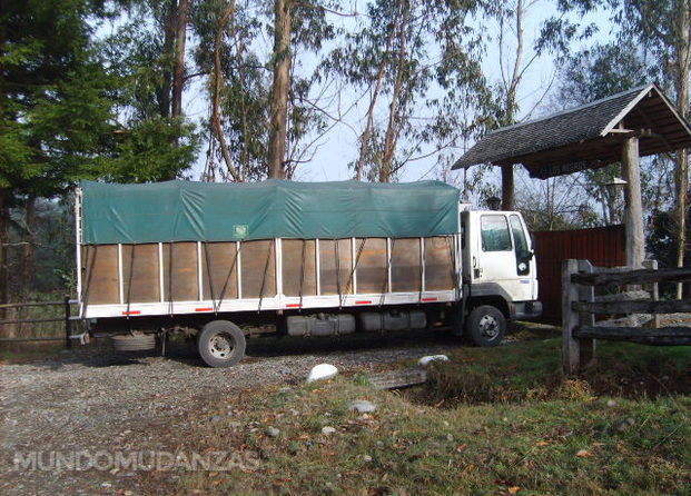 Transporte de carga 