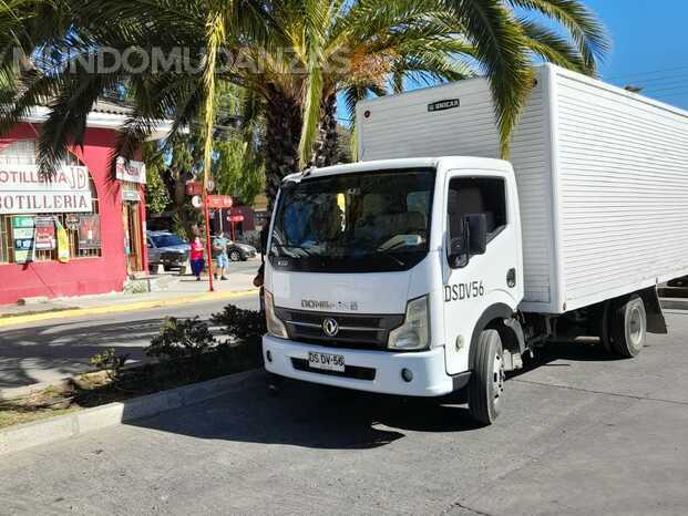 camion de 30 metros cubicos para mudanzas o fletes