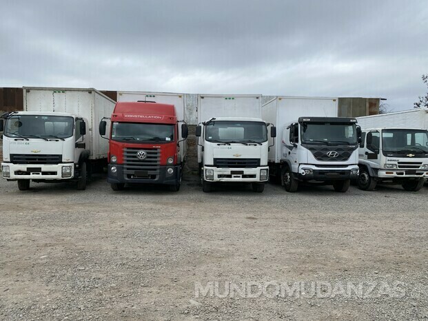 camiones.jpg