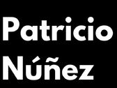 Patricio Núñez